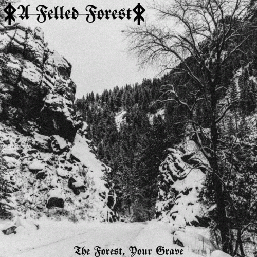 The Forest, Your Grave